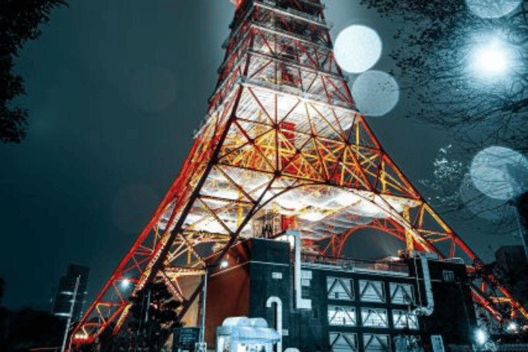 Tour privado de la ciudad de Tokio personalizado con conductor de habla inglesa