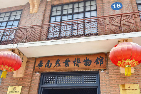 Guangzhou Food Tour: Hidden Gem Museum + Authentic Dim Sum