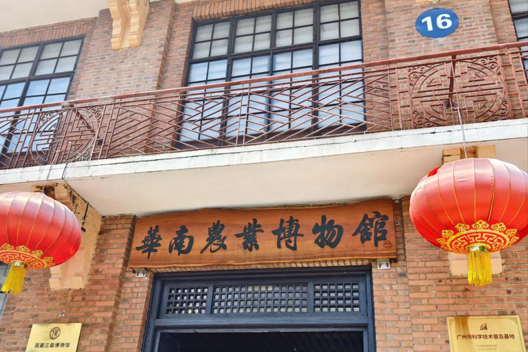 Guangzhou Food Tour: Hidden Gem Museum + Authentic Dim Sum