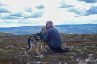 Ljørdalen - Trysil: Husky Hike with Campfire and lunch!