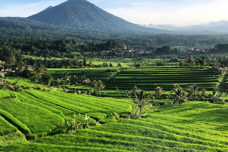 North Bali: Taman Ayun Temple, Jatiluwih, Campuhan Waterfall North Bali Tour with Central Bali Area pick up