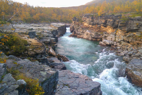 Kiruna: Abisko National Park Guided Day Tour with Lunch