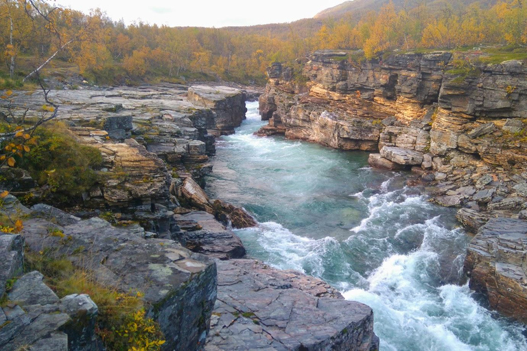 Kiruna: Abisko National Park Guided Day Tour with Lunch