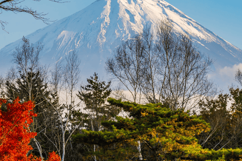 Tokyo: Private Mt. Fuji Luxury Day Tour – Fully Customizable Luxury Land Cruise Customizable Tour