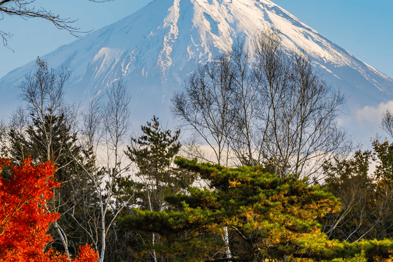 Tokyo: Private Mt. Fuji Luxury Day Tour – Fully Customizable Luxury Land Cruise Customizable Tour