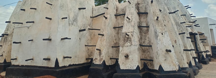 Accra : safari d'une nuit dans le parc national de Mole avec vols