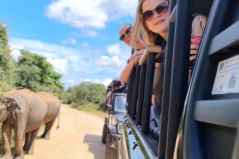 Bentota/Mirissa/Hiriketiya/Tangalle: Ella Scenic Day Tour Udawalawe Elephant Transit Home & Ella Day Tour
