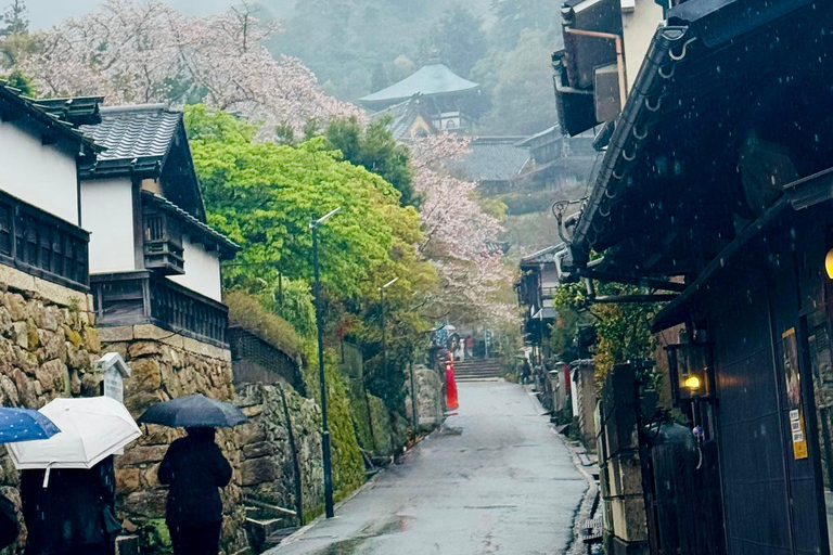 Hiroshima: Miyajima Island Cultural Walking Tour