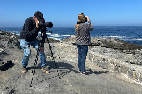 From Valparaiso: Private Mantagua Wetlands & Penguins Tour