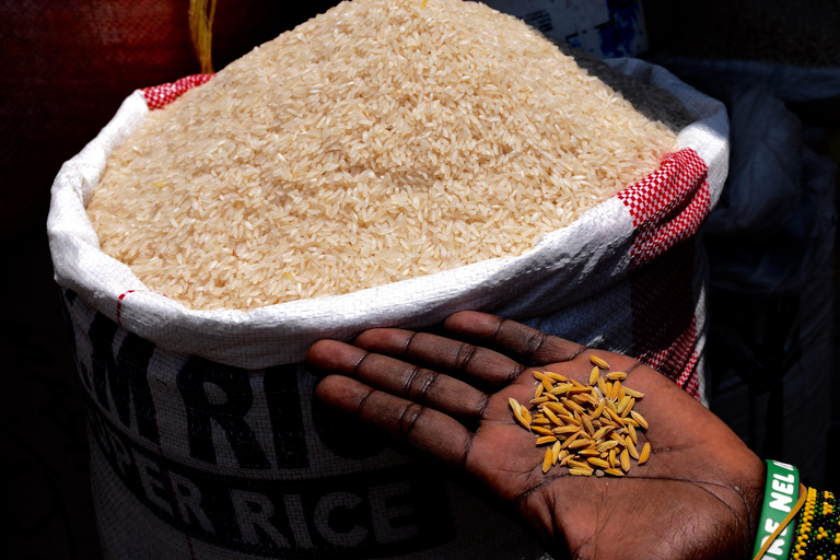 Mto wa Mbu: Waterfall, Maasai Boma, Village, & Balaa Hill Mto wa Mbu Tour & Canoe Ride on Lake Manyara