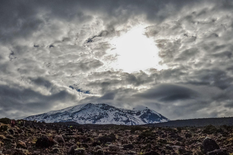 8-Day Kilimanjaro Lemosho Route Trek