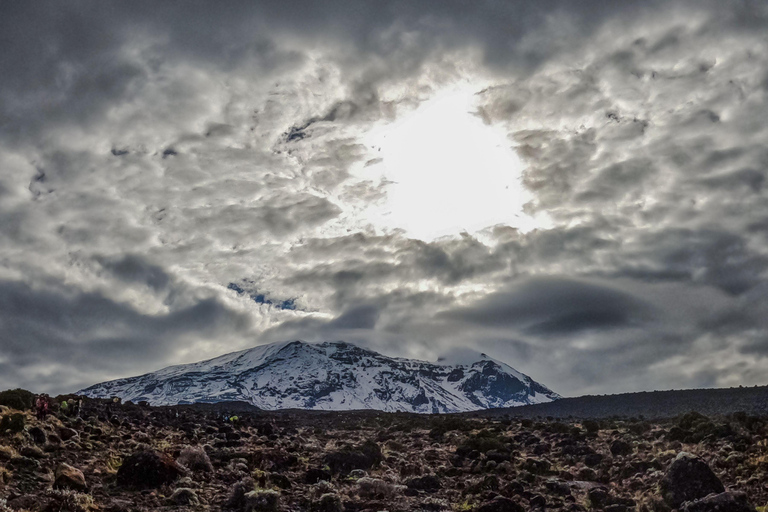 8-Day Kilimanjaro Lemosho Route Trek