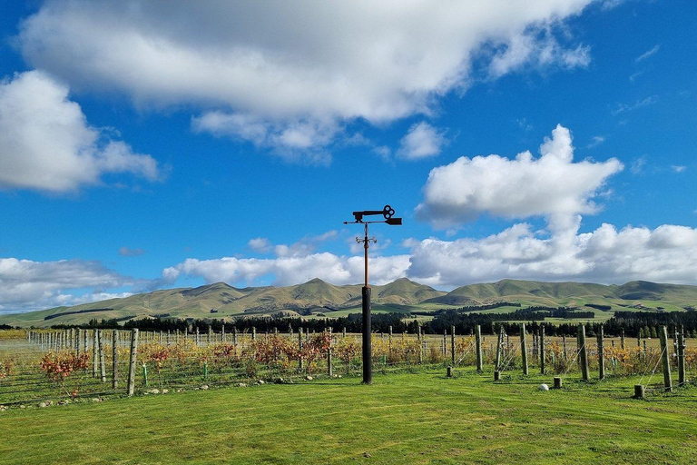 Waipara: Georges Road Winery Tour & Tasting with Winemaker