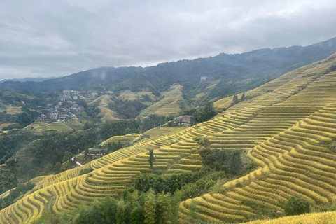 From Guilin/Yangshuo: Longji Rice Terraces Private Tour From Guilin: Longji Rice Terraces Private Tour