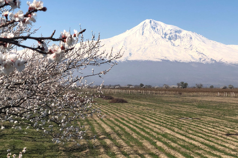 Yerevan: Silk Road Jeep Tour with Lake Sevan & Noravank