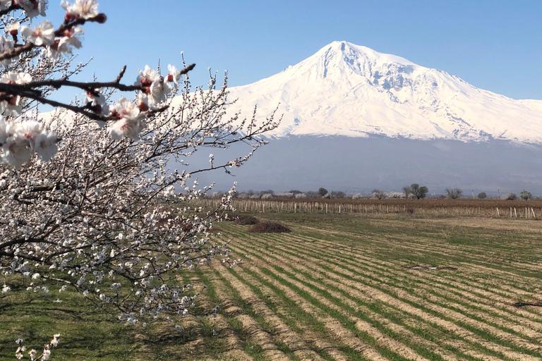 Yerevan: Silk Road Jeep Tour with Lake Sevan & Noravank