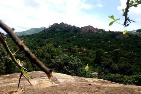 From Nairobi: Guided Bird Watching Tour