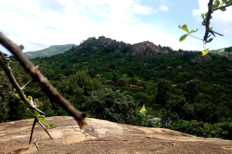 From Nairobi: Guided Bird Watching Tour