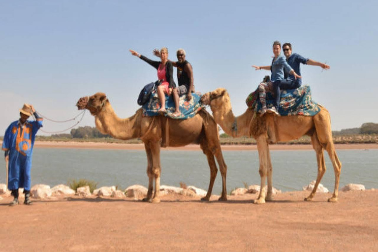 从阿加迪尔出发：苏斯河骆驼骑行