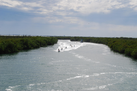 Cancun: Jetski and Snorkel Adventure Shared Jetski per person