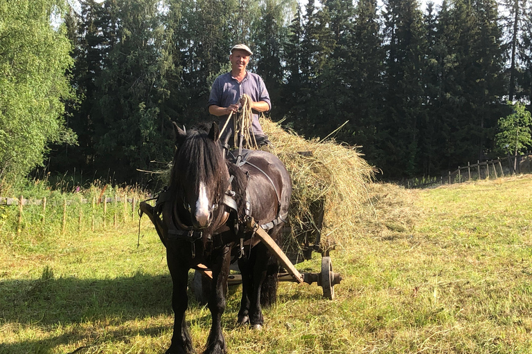 متحف مايهاوجين/المتحف الأولمبي النرويجي، ليلهامر.