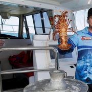 Cervantes: Lobster Catching Tour