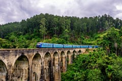 Colombo: Geführte Highlight-Tour (4 Nächte/5 Tage) mit Hotels und Mietwagen