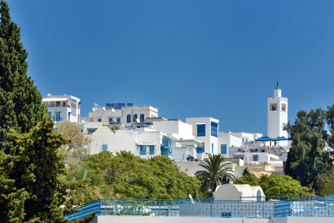 From Sousse & Monastir: Carthage, Sidi Bou Said & Tunis Tour