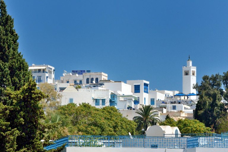 From Sousse & Monastir: Carthage, Sidi Bou Said & Tunis Tour