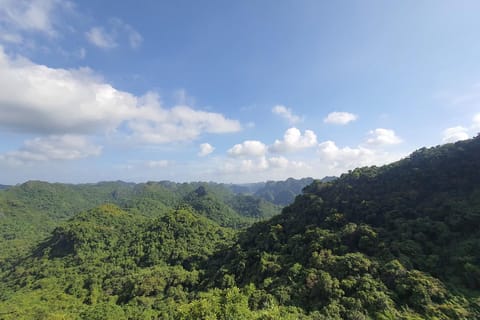 Half-Day Hiking to Cat Ba National Park with a Guide - Image 2