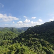 Half-Day Hiking to Cat Ba National Park with a Guide Half-Day Hiking to Cat Ba National Park with a Guide
