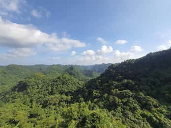 Half Day Hiking to Cat Ba National Park with a Guide