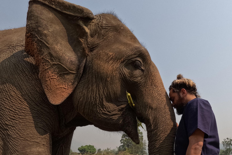 Giornata intera con CHIANGMAI ELEPHANT CARE e cascata Sticky