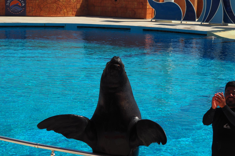 Alanya: Show de golfinhos e leões-marinhos no Sealanya Dolphin ParkAlanya: Traslado para o show dos golfinhos e leões marinhos