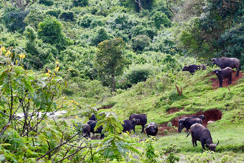 من نيروبي: تجربة جولة بيئية في وسط كينيا لمدة 5 أيام
