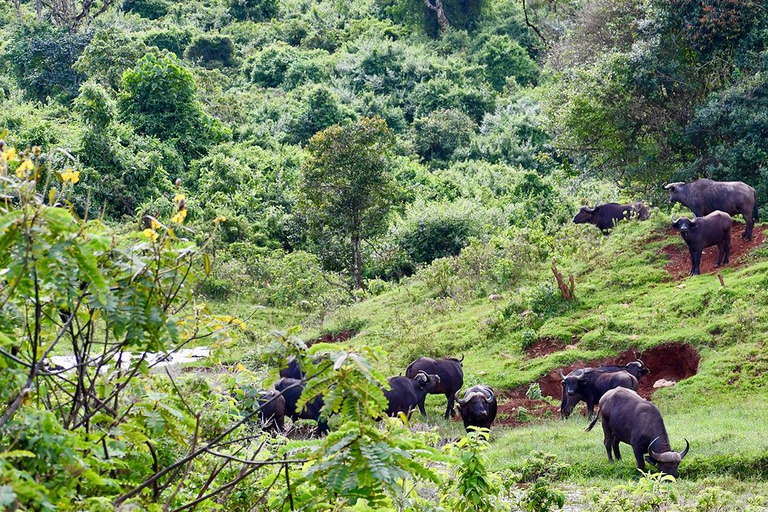من نيروبي: تجربة جولة بيئية في وسط كينيا لمدة 5 أيام
