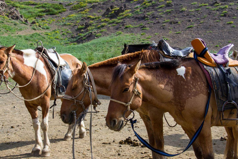 Ulaanbaatar: Guided City Tour with Private Transport