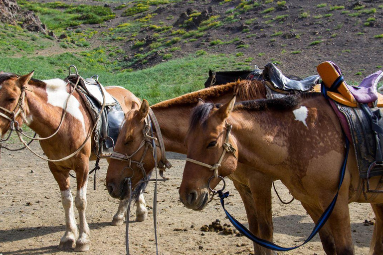 Ulaanbaatar: Guided City Tour with Private Transport