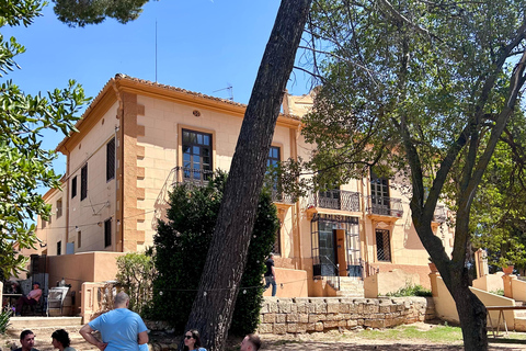 Da Valencia: Degustazione di vini e visita alla Cueva de Turche