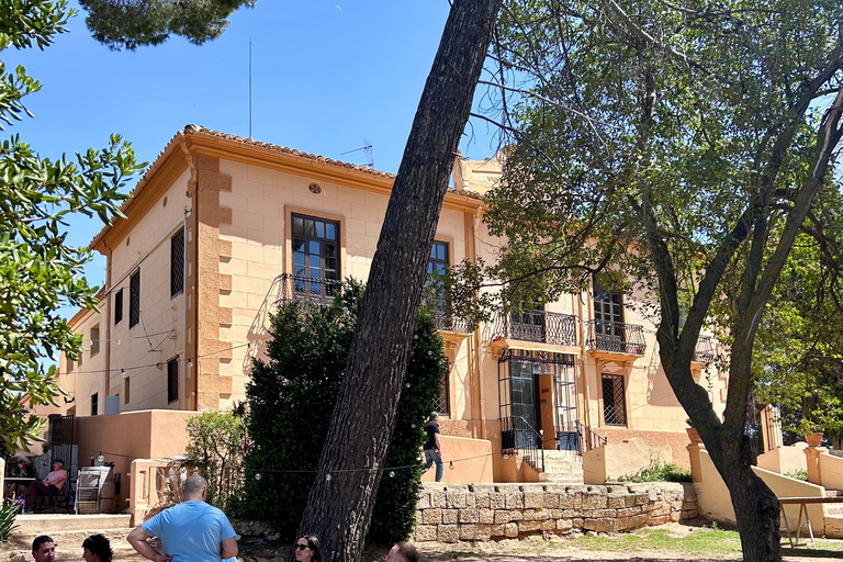 Da Valencia: Degustazione di vini e visita alla Cueva de Turche