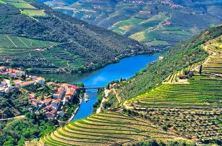 Porto: Douro Valley Private Tour 2 Weinberge & Flussfahrt