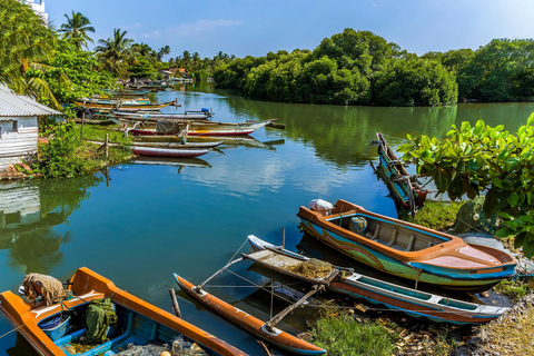 Negombo: Boat Tour of Negombo Lagoon with hotel transfers