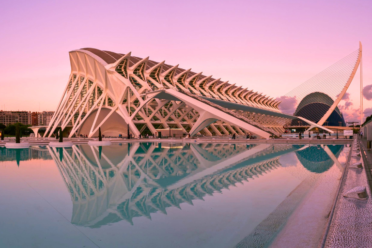 Valencia: Private Guided Tour with Your Mobile Phone Valencia: Private Guided Tour