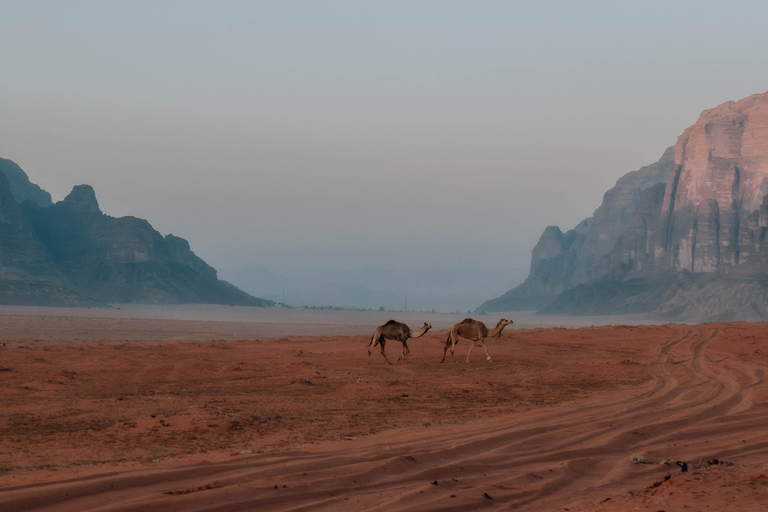 Wadi Rum 4-Day All-Inclusive Camel Trekking & Desert Tour