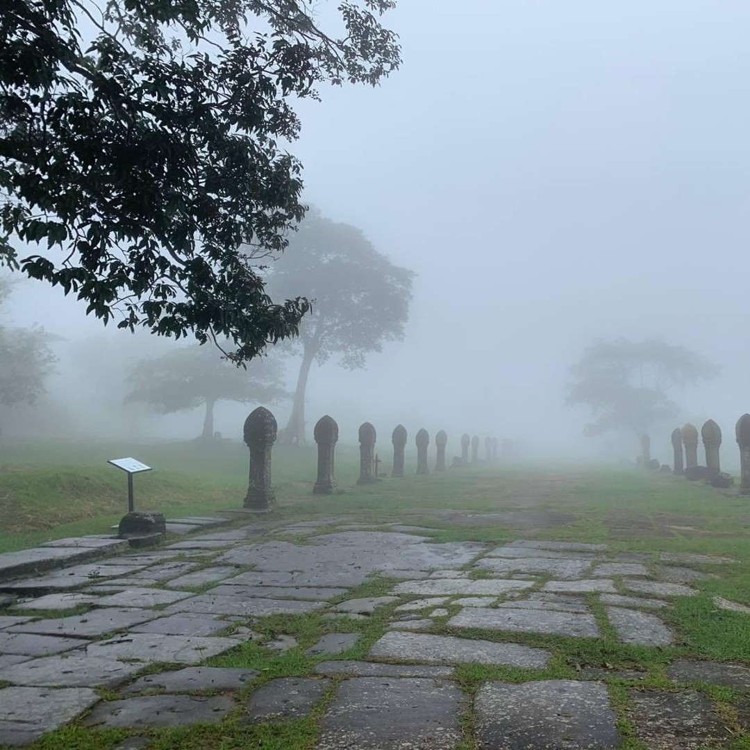 Colagem de mídia