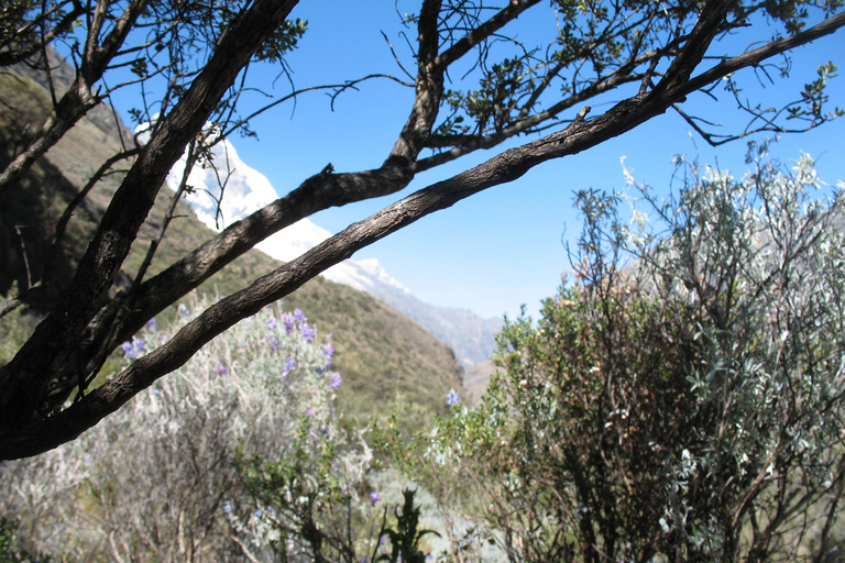 From Huaraz: 3-Day Llanganuco Lakes and Lake 69 Trek