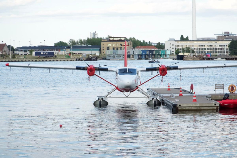 Tour della città di Copenaghen in inglese
