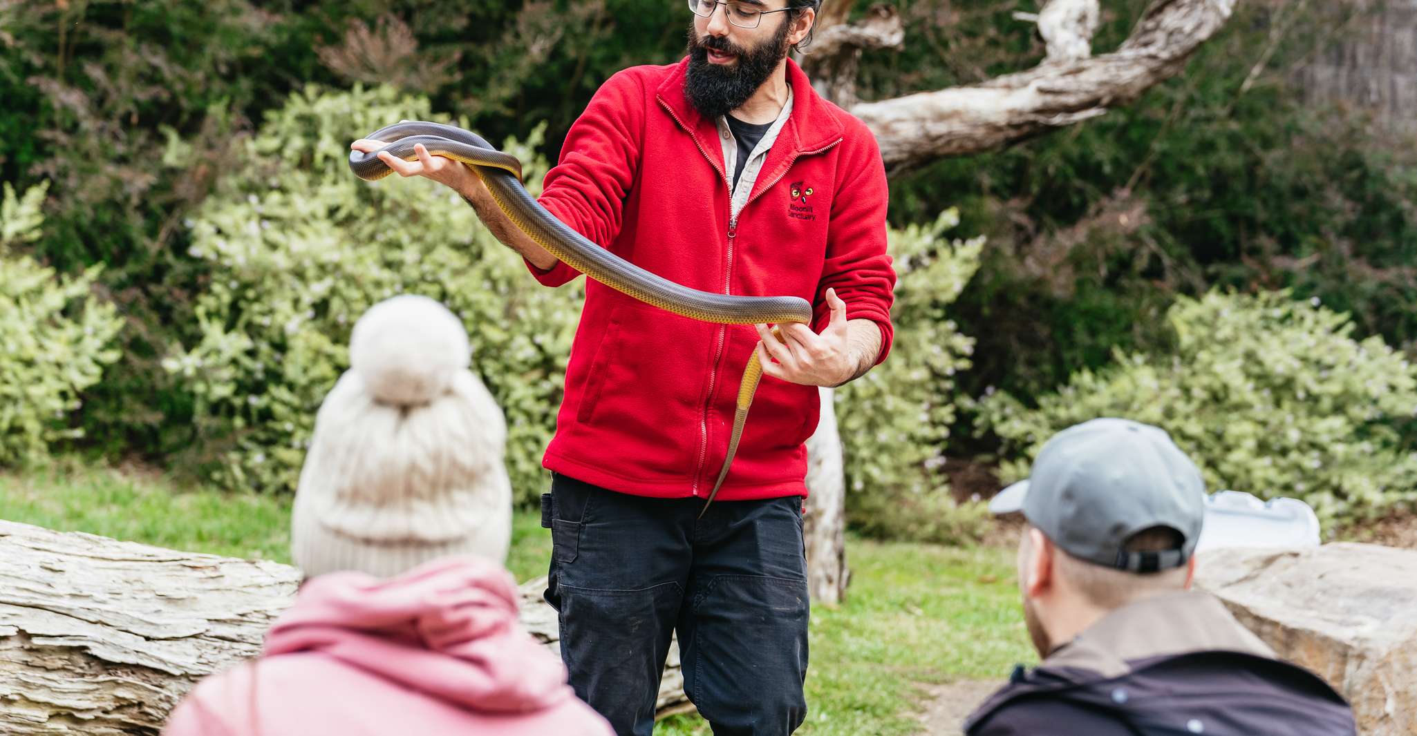 Phillip Island Penguin Parade with Expert Local Guide photo 8