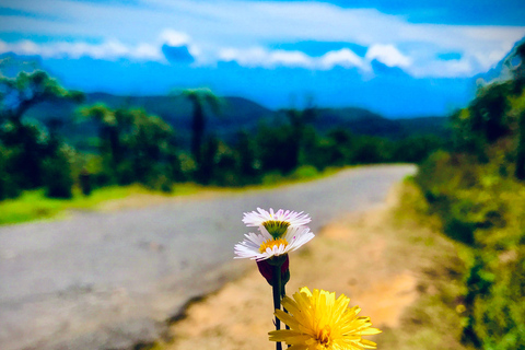 Ella: Horton Plains & Bomburu Ella Waterfall Tour