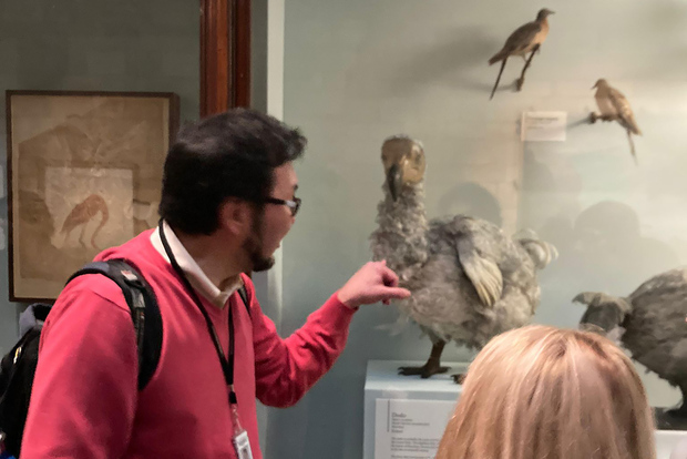 Museu de História Natural de Londres – Visita privada com especialista